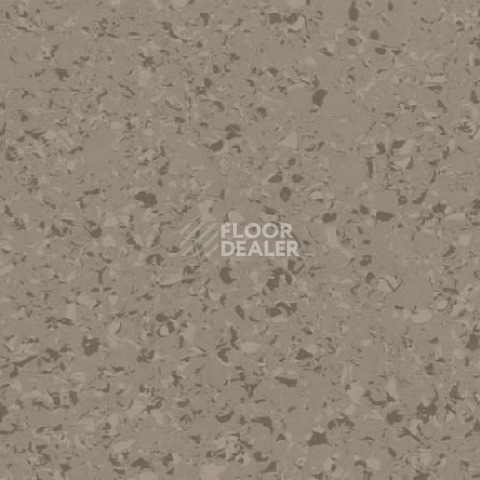 Линолеум Gerflor Mipolam Affinity 4463 Greige фото 1 | FLOORDEALER